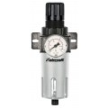 Filter / pressure regulator 1/2